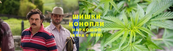 прущие грибы Арсеньев