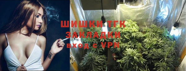 apvp Лиски