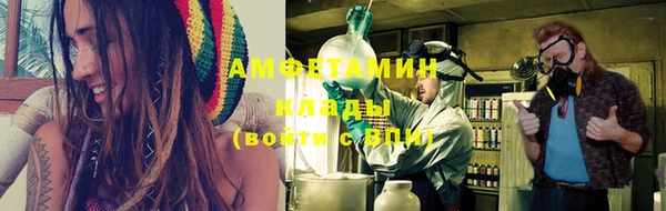 прущие грибы Арсеньев